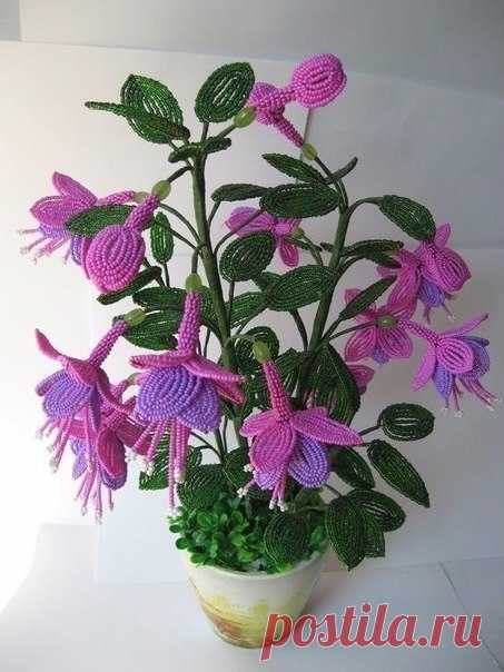 Чудо из бисера / Воркаут как образ жизни