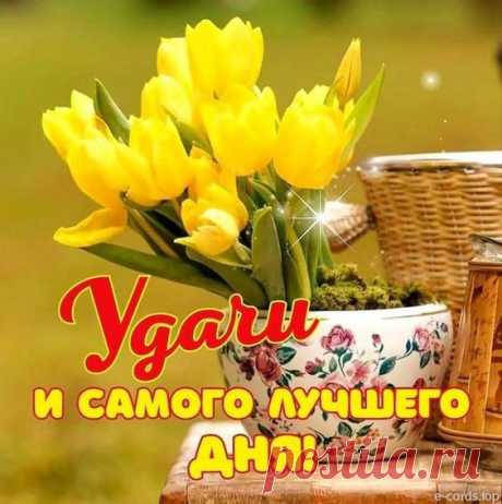 (1) Pinterest