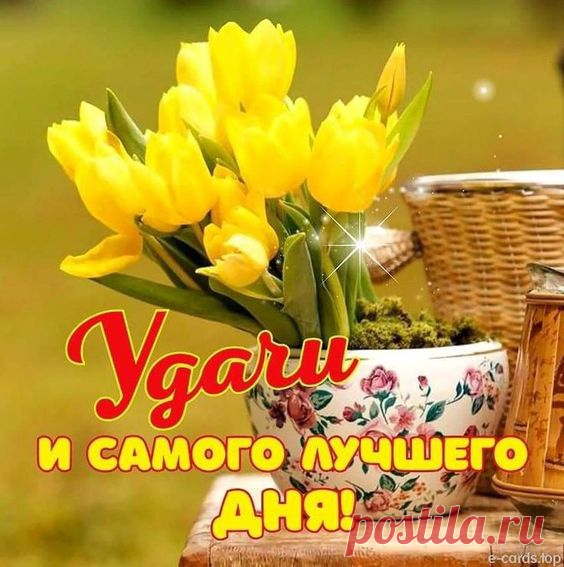 (1) Pinterest