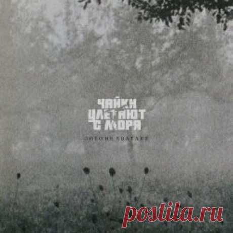 Чайки Улетают С Моря - Люто Не Хватает (2025) [EP] Artist: Чайки Улетают С Моря Album: Люто Не Хватает Year: 2025 Country: Russia Style: Coldwave
