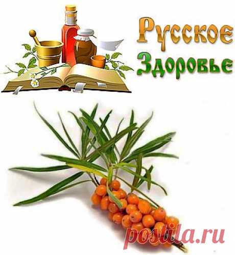 Соберите листья облепихи