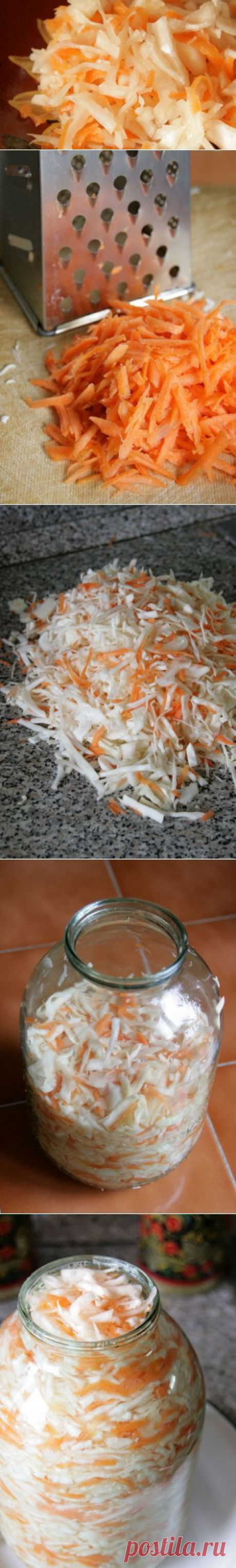 Квашеная капуста за 3 дня / TVCook: пошаговые кулинарные рецепты с фото