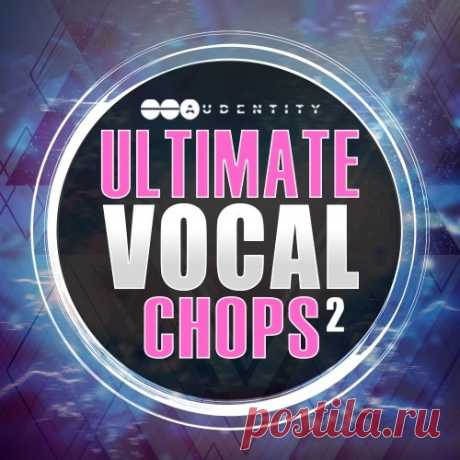 Audentity Records Ultimate Vocal Chops 2 WAV  | 166MB
Audentity Records Ultimate Vocal Chops 2 is the follow up of our very succesful series and has the same fresh concept of a vocal production kit built for producers, composers and artists. 

Download at:

https://audioclub.store/uncategorized/ultimate-vocal-chops-2-wav/