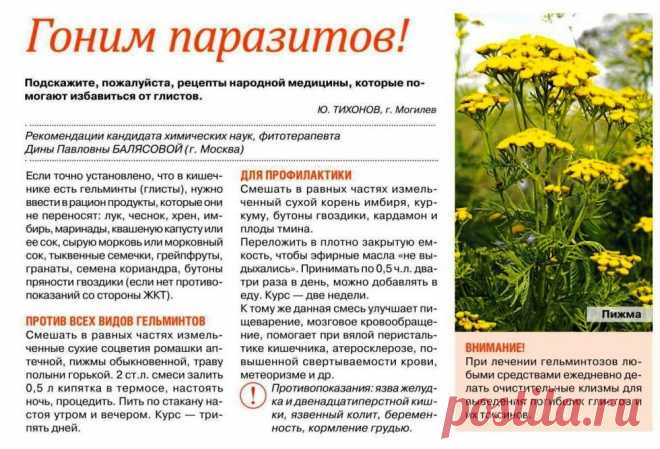 Гоним паразитов