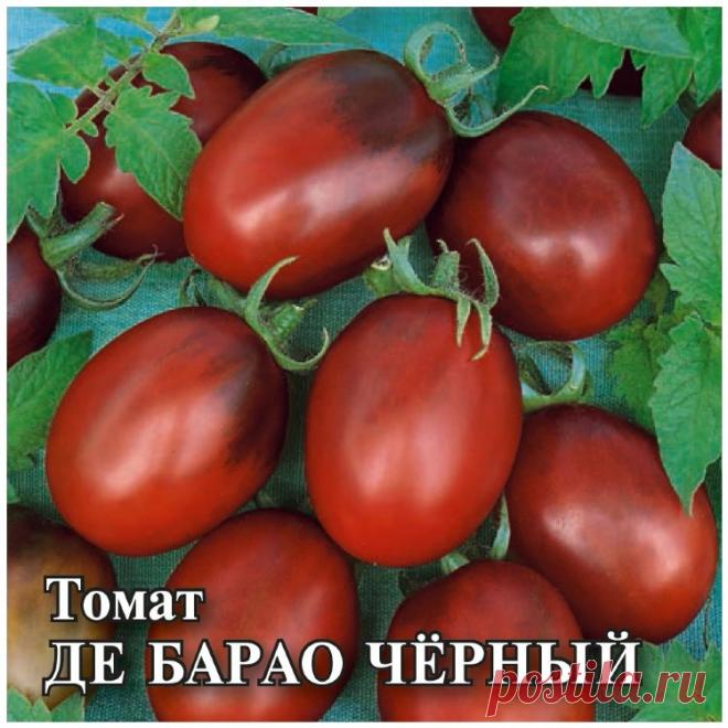 Де барао черный фото отзывы Огород без хлопот - информационный сайт для дачников, садоводов и огородников.