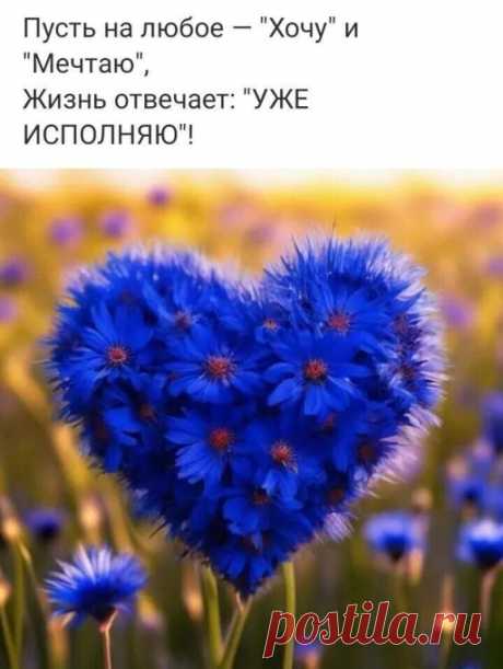 ВАСИЛЬКИ 

Васильки - осколки неба,
Капли слёз девичьих глаз,
Бирюза в колосьях хлеба,
Как мне не хватает вас!

Вспоминаю, как когда-то
Я плела любви венок,
Колосков пылало злато,
Волны бились из цветов...

Тот венок сняла давно я,
Только с тех давнишних пор
В волосах моих осталась
Пена, как немой укор.


© Copyright: Инга Дмитриева Гвоздь, 2011
Свидетельство о публикации №111082302770