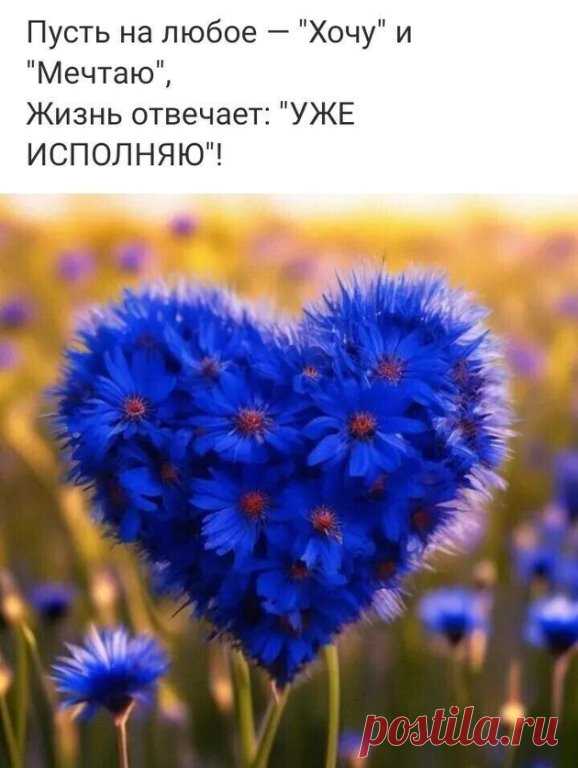 ВАСИЛЬКИ 

Васильки - осколки неба,
Капли слёз девичьих глаз,
Бирюза в колосьях хлеба,
Как мне не хватает вас!

Вспоминаю, как когда-то
Я плела любви венок,
Колосков пылало злато,
Волны бились из цветов...

Тот венок сняла давно я,
Только с тех давнишних пор
В волосах моих осталась
Пена, как немой укор.


© Copyright: Инга Дмитриева Гвоздь, 2011
Свидетельство о публикации №111082302770
