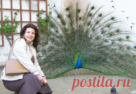 Прогулки по Праге на общественном транспорте и пешком без проф.экскурсий, но с рассказами, показами, фотосессией и ответами на все вопросы - 20 евро/час с чел. либо 100 евро/день за компанию от 2 человек: встреча и проводы к Вам в отель, квитанция об оплате перед выездом на прогулку.