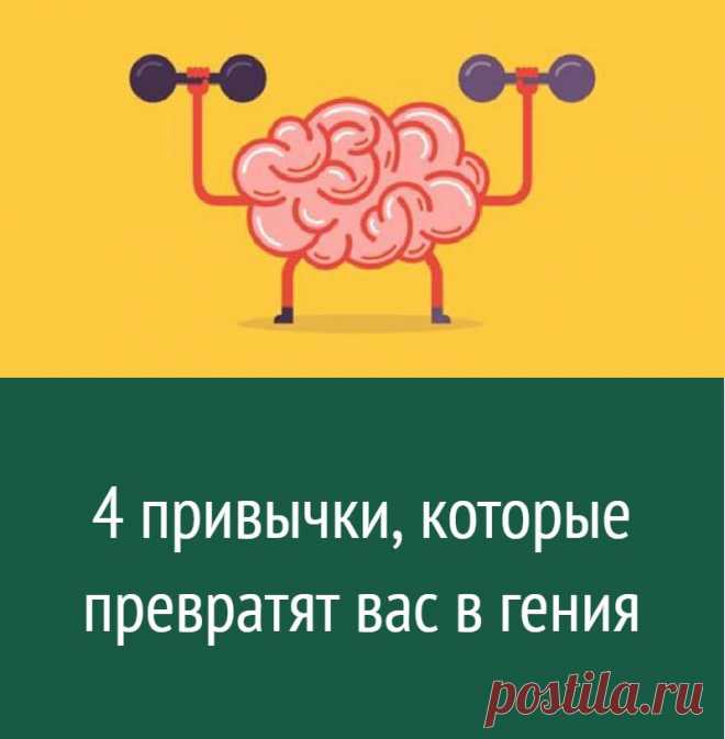 4 привычки, которые превратят вас в гения