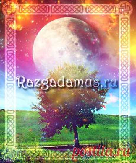 ЛУННЫЙ КАЛЕНДАРЬ САДОВОДА И ОГОРОДНИКА НА 2015 ГОД