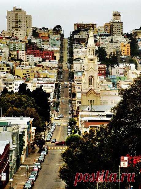 San Francisco | California Dreamin'