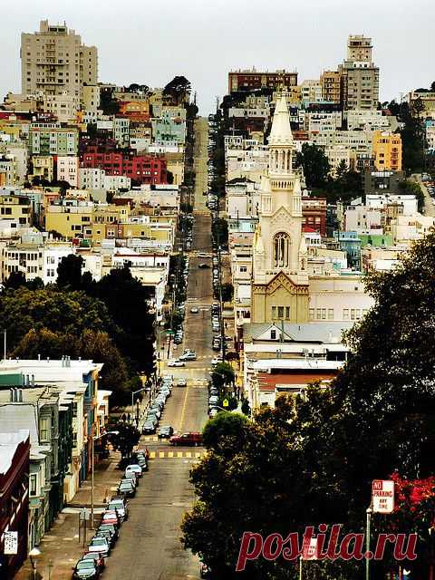 San Francisco | California Dreamin'