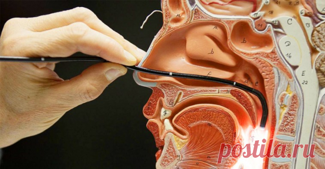Вирус Эпштейна-Барр: симптоматика и лечение 
По статистике 90% людей в старшем детском возрасте и после 40 лет «знакомы» с вирусом Эпштейна-Барр, к нему даже развился иммунитет, но сами пациенты об этом и не догадываются. Но, к сожалению, в нек…