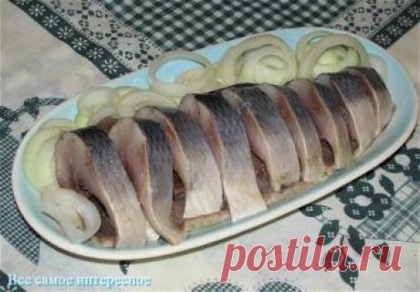 Солим очень вкусно селедку или скумбрию; Cекрет рецепта. | ВСЕ САМОЕ ИНТЕРЕСНОЕ. | Яндекс Дзен