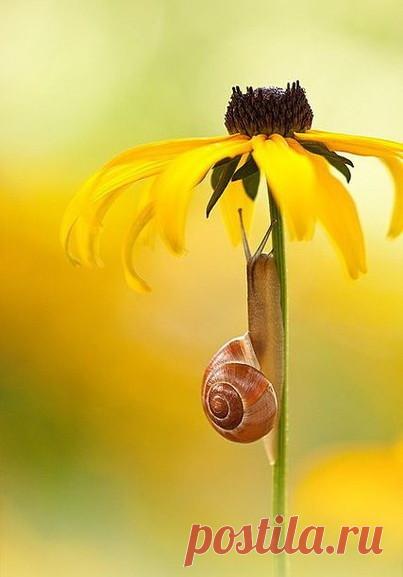 -А сколько время...
-Без пяти минут ЛЕТО....