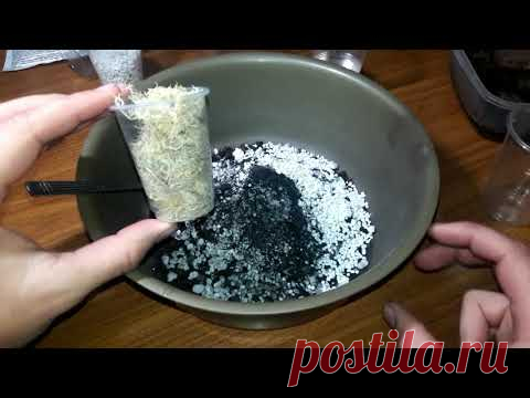 Секреты идеального грунта для фиалок, стрептокарпусов, бегоний.