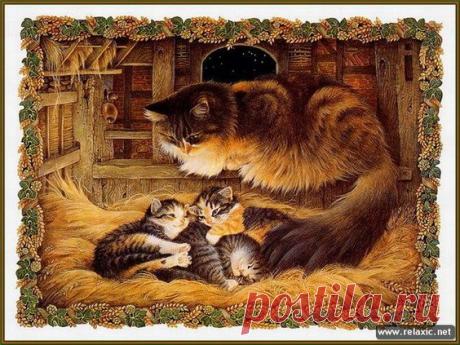 Pinterest