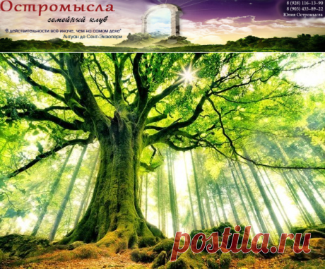 Священное растение - Новости |