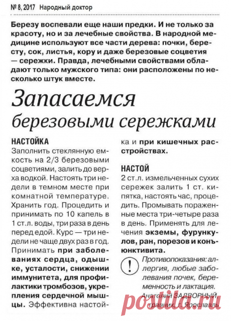 Запасемся березовыми сережками