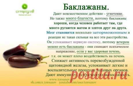 Баклажаны