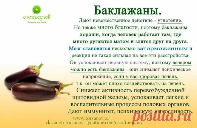 Баклажаны