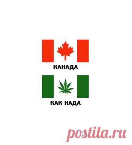 ПОЛНЫЙ Ржач))))— юмор, приколы, анекдоты