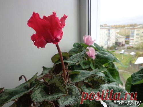 Ваша переписка с Акулина Романовна