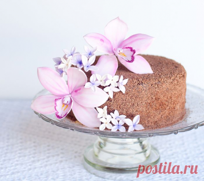 Орхидея из сахарной мастики для шоколадного торта с кокосовым кремом.