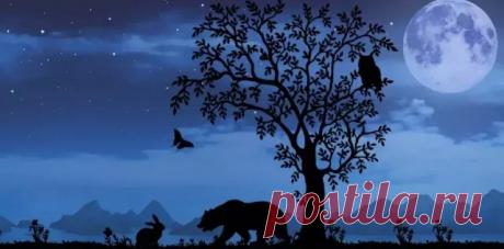 Тест - То животное, которое вы увидели первым, откроет тайны вашего подсознания/Медведь