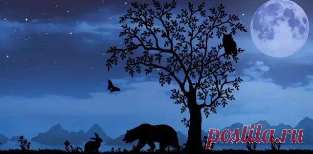 Тест - То животное, которое вы увидели первым, откроет тайны вашего подсознания/Медведь