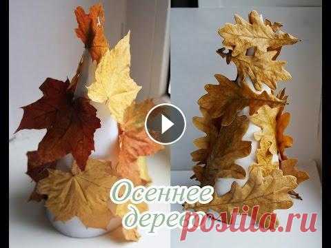 Осеннее дерево.Творчество с детьми.Поделка из осенних листьев. Здравствуйте, мои дорогие!!! Очень приятно, что Вы со мной продолжаете, творить! Сегодня хочу предложить вам сделать осеннее дерево! Что нам нужно: ли...