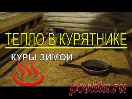 Почему в КУРЯТНИКЕ ЗИМОЙ ТЕПЛО ? В хозяйстве на своём участке - YouTube