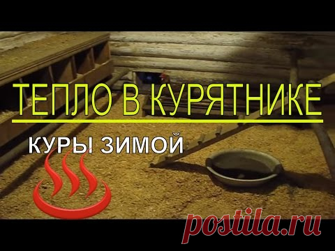 Почему в КУРЯТНИКЕ ЗИМОЙ ТЕПЛО ? В хозяйстве на своём участке - YouTube