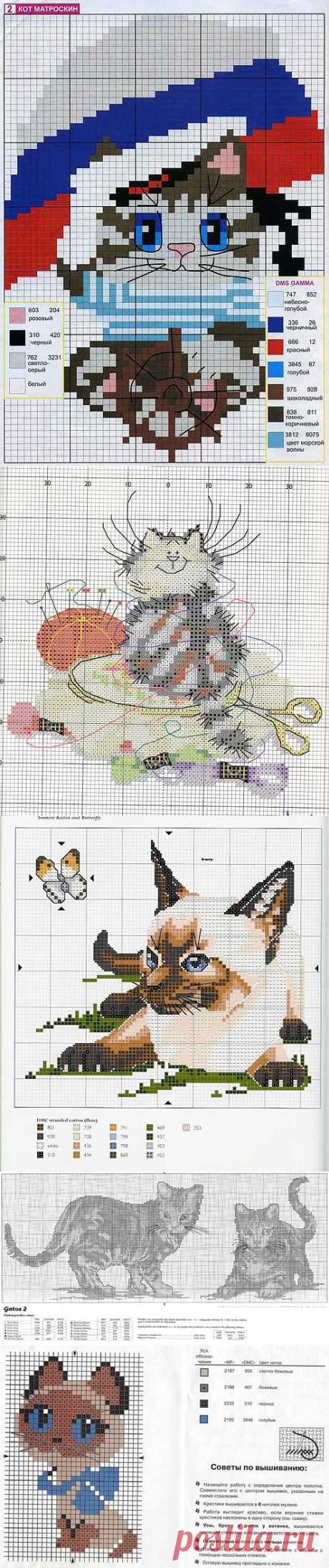 kiyashko_1964@mail.ru - Почта Mail.Ru