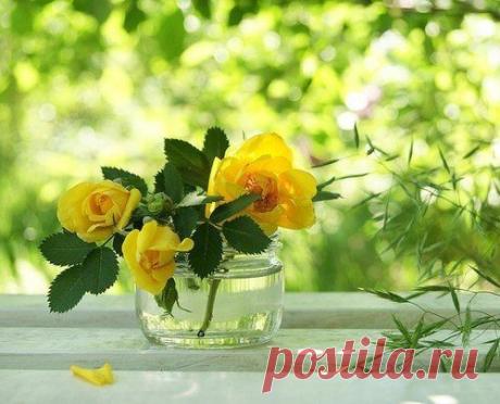 Интересные новости