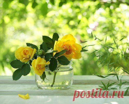 Интересные новости