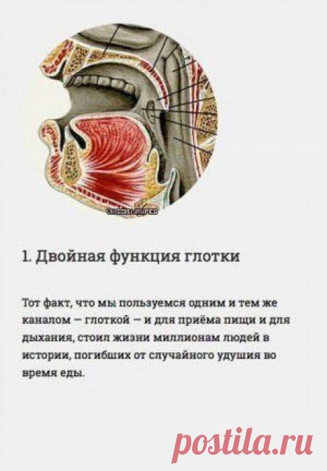 Ручная : актуальность сегодня и вчера