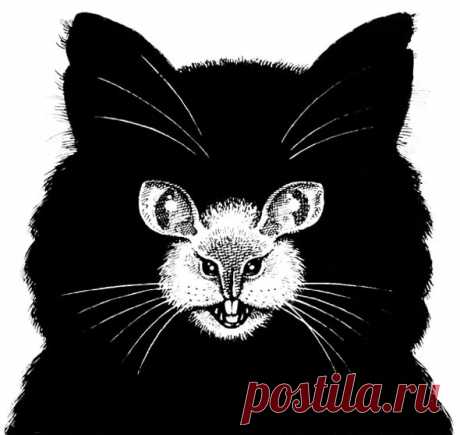 Кошка/мышка / Интересные изображения и фотографии / InPic