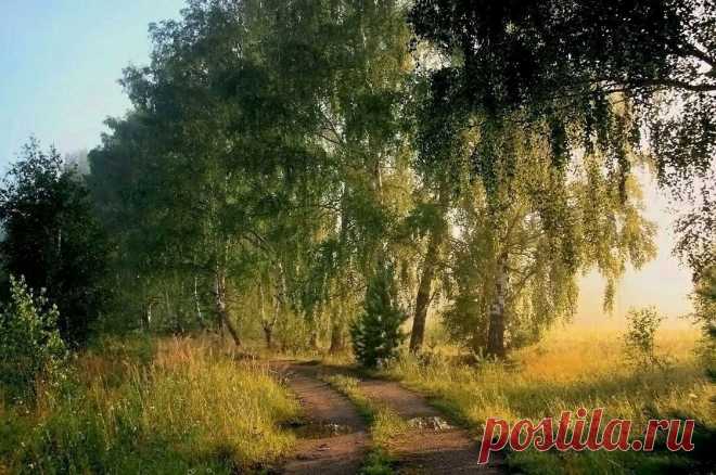 35PHOTO - Василий Черкасский - Прогоняя ночь