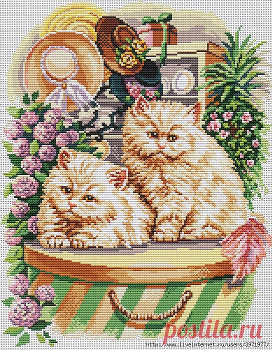Сладкая парочка.