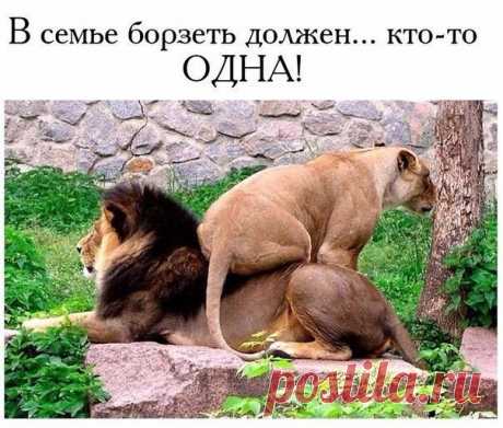 Настроение