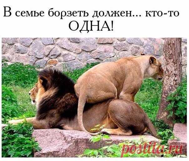 Настроение