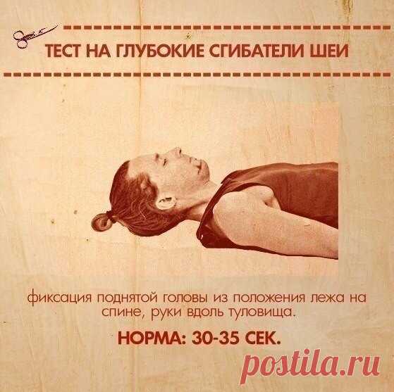 Тесты на функциональную слабость мышц Тело нетренированного (а часто и тренированного) человека очень разбалансированно — одни мышцы расслаблены, другие наоборот перенапряжены.Повышенная гибкость при вялости мышц является крайне неблагоприятным сочетанием и возможной причиной травм на последующих занятиях.Поэтому, активизация...