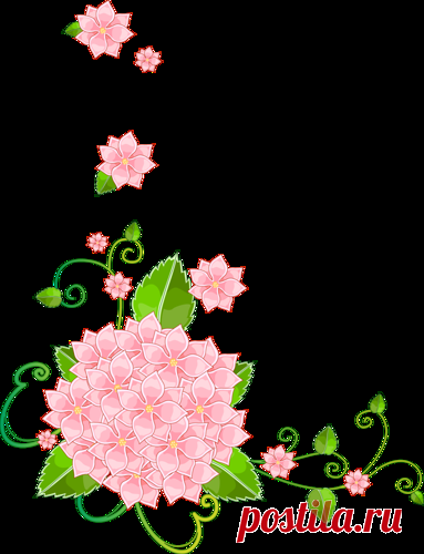 Esquinas florales - Diseño de web