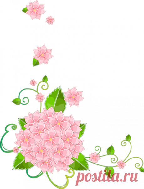 Esquinas florales - Diseño de web