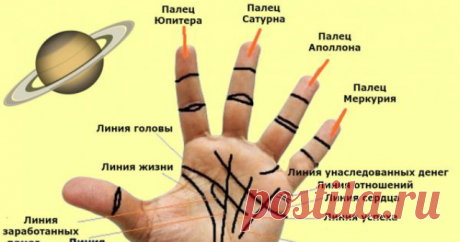 Всё, что тебе действительно необходимо знать о хиромантии. Только самое важное, никакой воды!