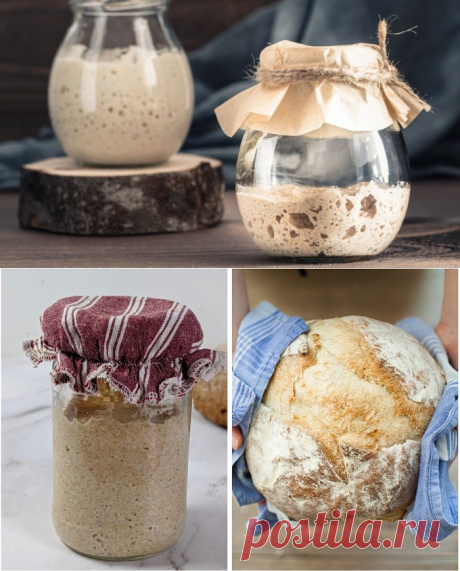 Пшеничная закваска для хлеба – Готовая, Домашняя