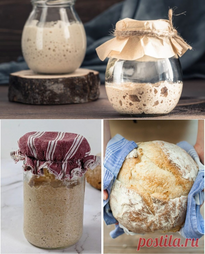 Пшеничная закваска для хлеба – Готовая, Домашняя