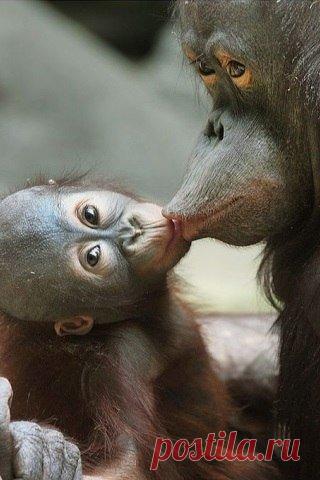 Тамара Колинченко - Киев, Украина, 55 лет на Мой Мир@Mail.ru