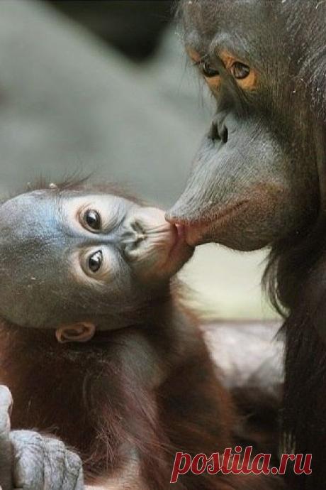 Тамара Колинченко - Киев, Украина, 55 лет на Мой Мир@Mail.ru